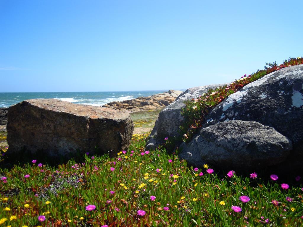 La Atrevida Bed & Breakfast Jose Ignacio  Exterior photo